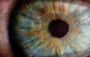 Retinitis pigmentosa