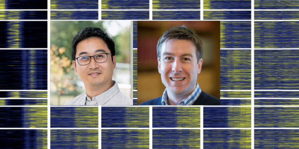 Dr Yang Wang (left) and Dr Peter Rugg-Gunn (right) shown over a data analysis plot from the scMTR-seq technique (Wang et al. 2025. Figure 3, E - Clustered smooth heatmaps showing gene expression and associated histone modification levels at their promoters and gene bodies).