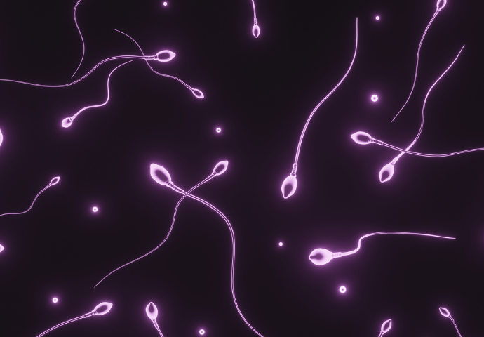 sperm