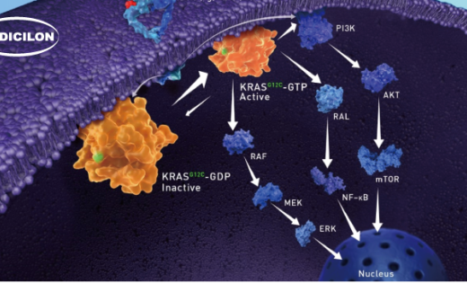 KRAS-Targeted Therapies