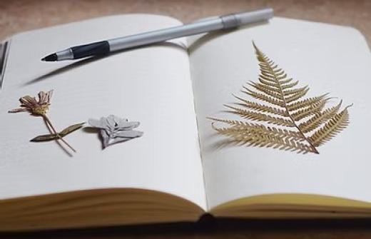Journaling