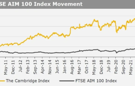 Kirly group index