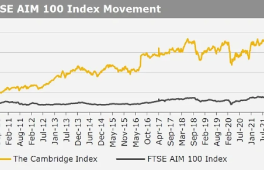 Kirly group index