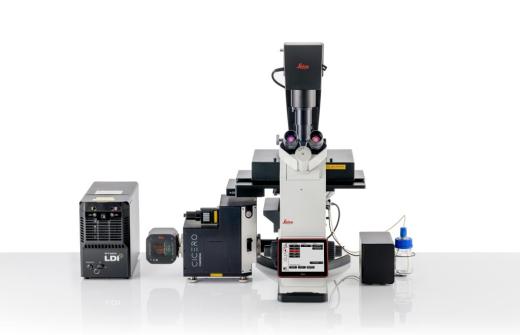 Leica Microsystems’ THUNDER Imager Cell Spinning Disk System