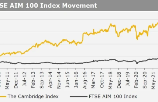 Kirly group index