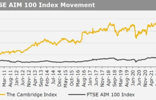 Kirly group index