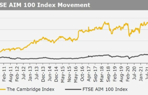 Kirly group index