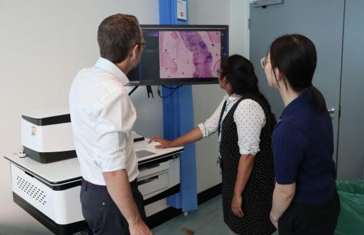 Looking at the new confocal microscope