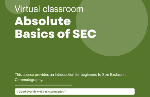 Absolute Basics of SEC