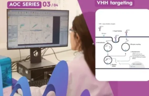 Why VHHs Are Attractive Targeting Ligands for AOCs