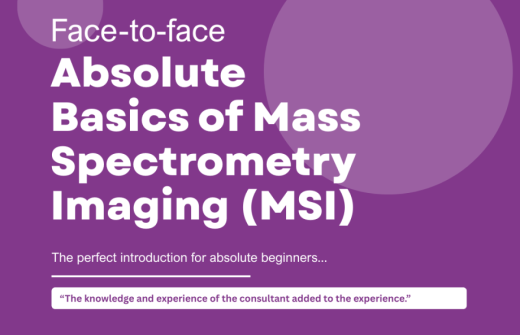 Absolute Basics of MSI
