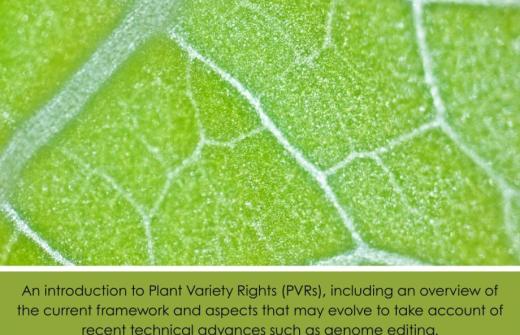 An introduction to Plant Variety Rights