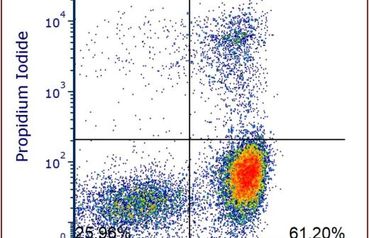 Annexin V StarBright™ Conjugates