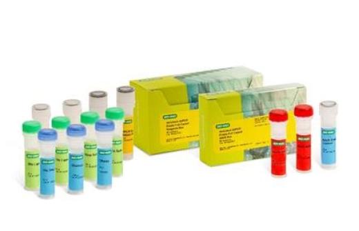 Vericheck ddPCR Empty-Full Capsid Kits