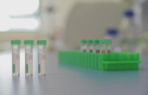 Bio-Rad anti-idiotypic antibodies
