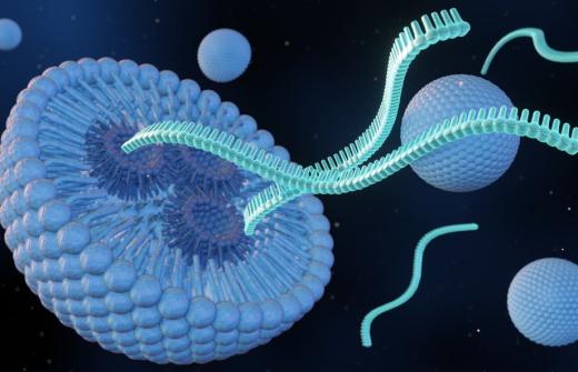 a In vivo cell 