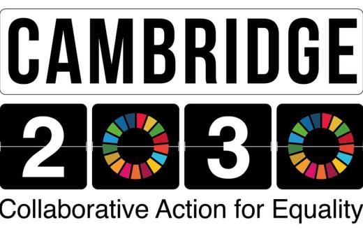 Cambridge 2030 logo