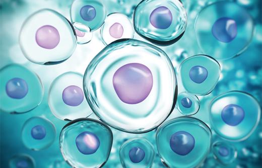 Antibody-drug conjugates: where are we now, where is it heading, and how can you get ahead of the opportunities and challenges with key stakeholders?