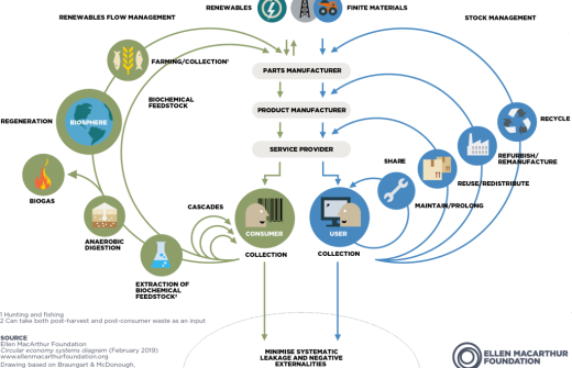 Butterfly diagram from Ellen Mcarthur Foundation