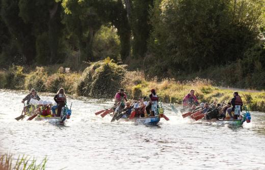 Dragon Boats competing on the water