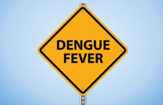 Dengue fever