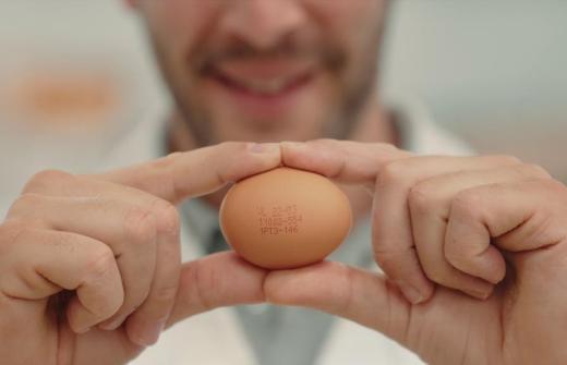 Shell to Shelf Egg Coding From Domino