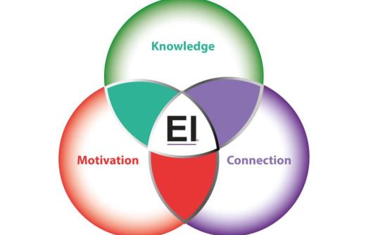 Trust VIsualised