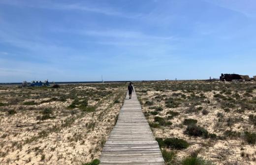 A man walking across a beautiful beach
