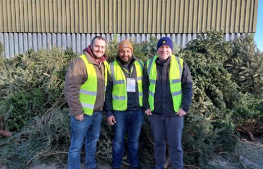 3 males standing near Christmas Trees 