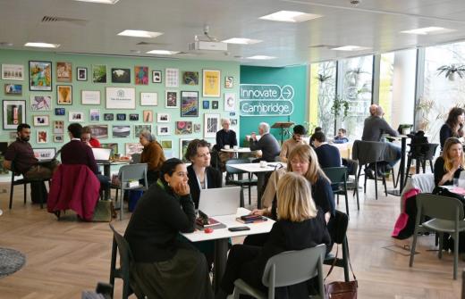 people coworking 