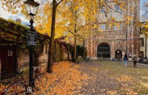 Cambridge University 