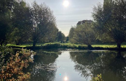 Grantchester Meadows, the river Cam in sunlight