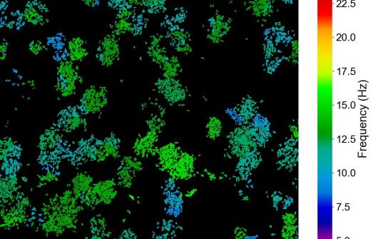 Heat map from CiliaBeat software  demonstrating distribution of actively beating ciliated cells with colour-coded beat frequency