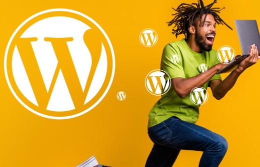 Joy with WordPress website