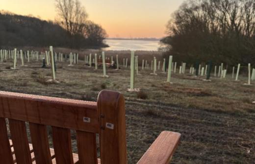 Local rewilding charity Creating Nature's Corridors creates dedicated memorial wood