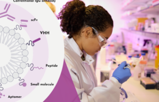 Lipid Nanoparticles for Drug Delivery