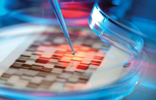 Implications of the Inflation Reduction Act for cancer medicine development