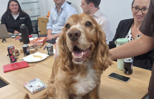 Dog is centre image on a table with team members sitting behind him talking 
