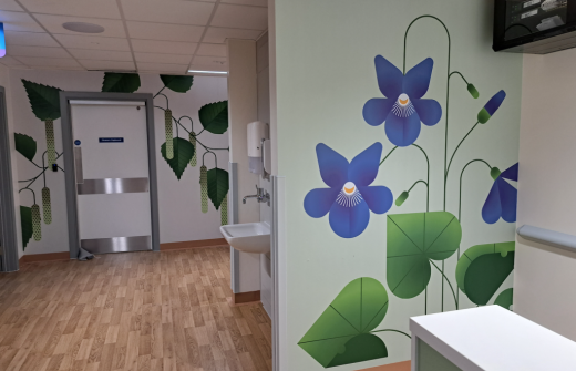 NHS environment design, production, management and installation services Cambridge.