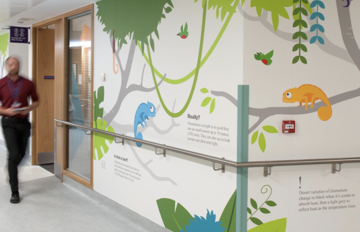 Sable&Hawkes deliver a complete NHS environment design service from creative theme to creative design, production, supplier and installation management.
