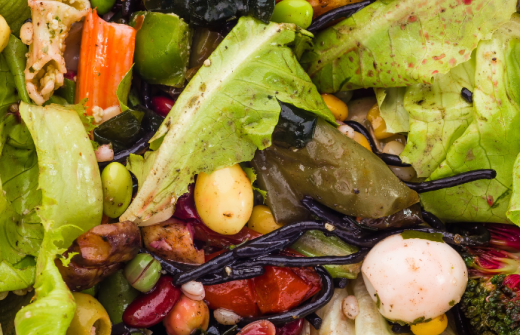 food waste