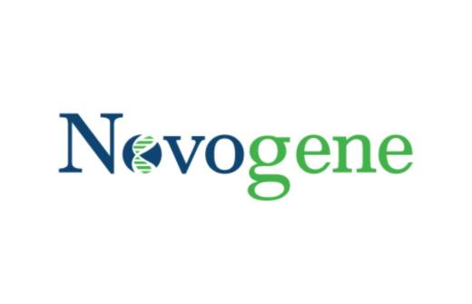 Novogene Europe Logo