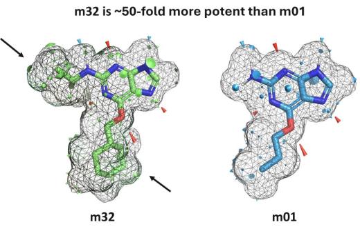 An example of the visual output provided by the new QuanSA PyMOL plugin. m32 is approximately 50 times more potent than the structurally similar m01, despite having near identical patterns of hydrogen bonding (red and blue cones). The difference is explained by additional steric contributions indicated by the surface patches highlighted by the black arrows.