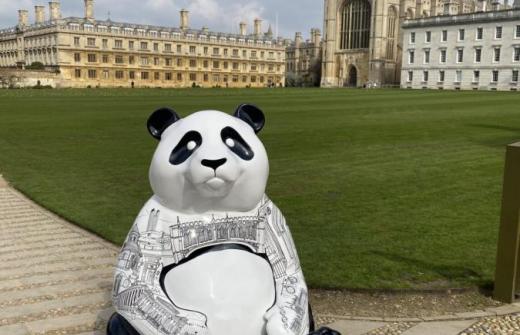 Panda sitting in front of a Cambridge college