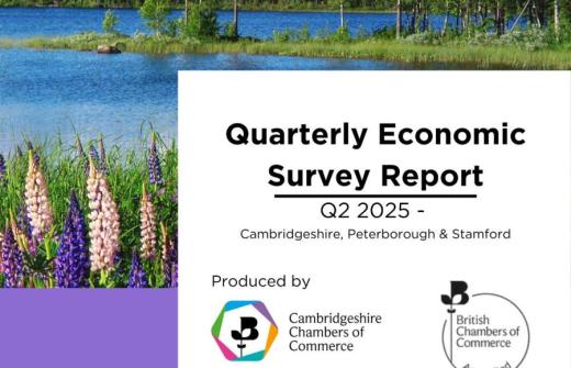 Summer scenery - Quarter 2 Quarterly Economic Survey Report