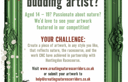 Cambridgeshire-based charity Creating Nature’s Corridors has teamed up with Huntingdon Racecourse to launch an art competition