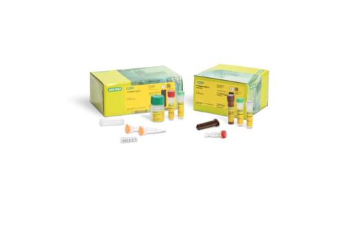 TrailBlazer StarBright Dye Label Kits