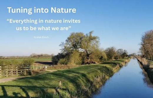 Image of Cambridgeshire Fens