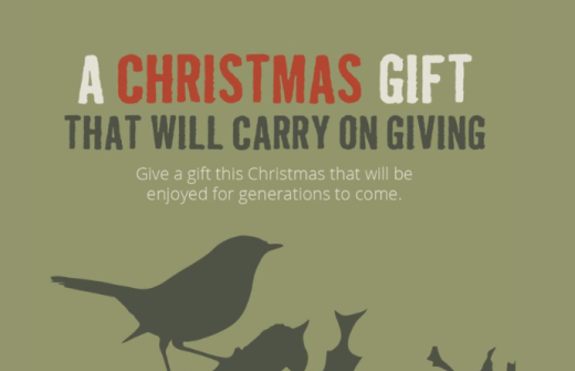 A Christmas gift that will carry on giving!