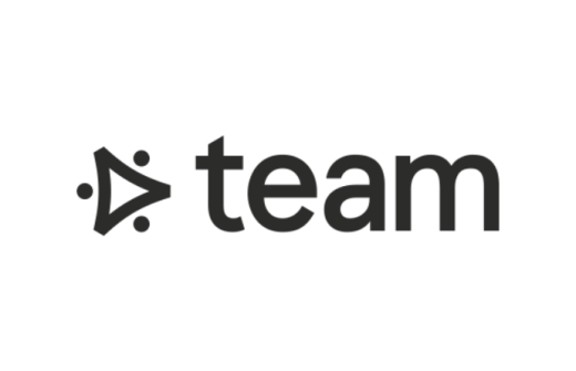 team consulting logo